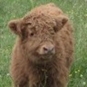 Meet your Posher, Deborah